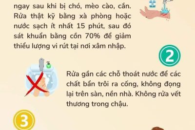 “HÃY CÙNG NHAU ĐẨY LÙI BỆNH DẠI” Nguồn: Đài truyền hình Buôn Hồ